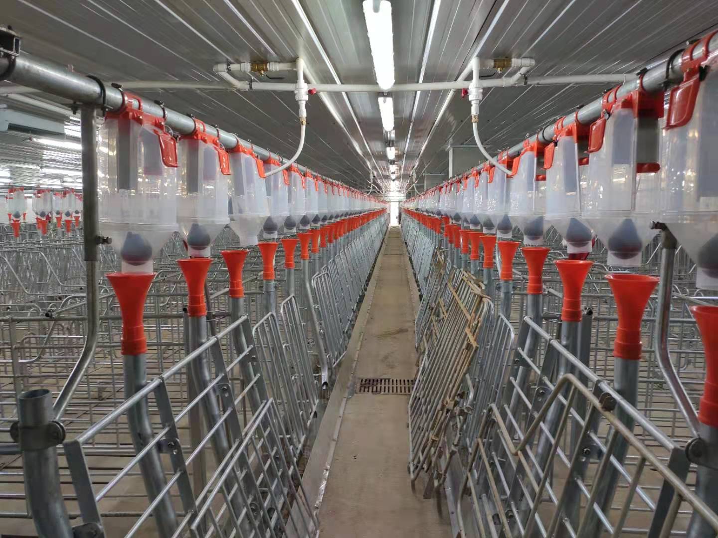 港澳宝典资料库