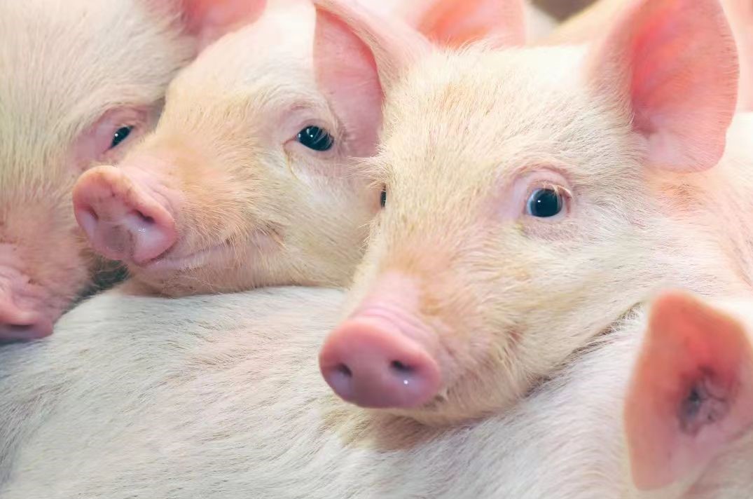 港澳宝典资料库